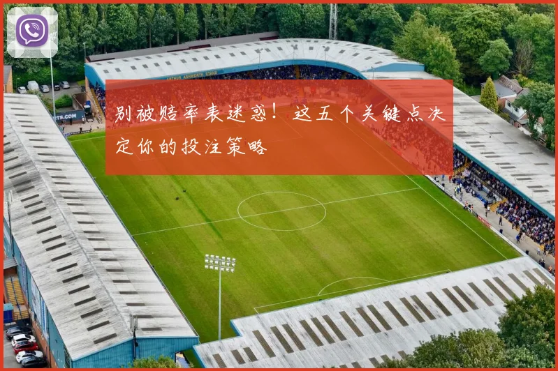 别被赔率表迷惑！这五个关键点决定你的投注策略