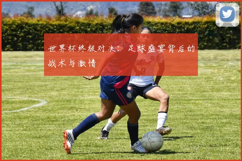 世界杯终极对决：足球盛宴背后的战术与激情