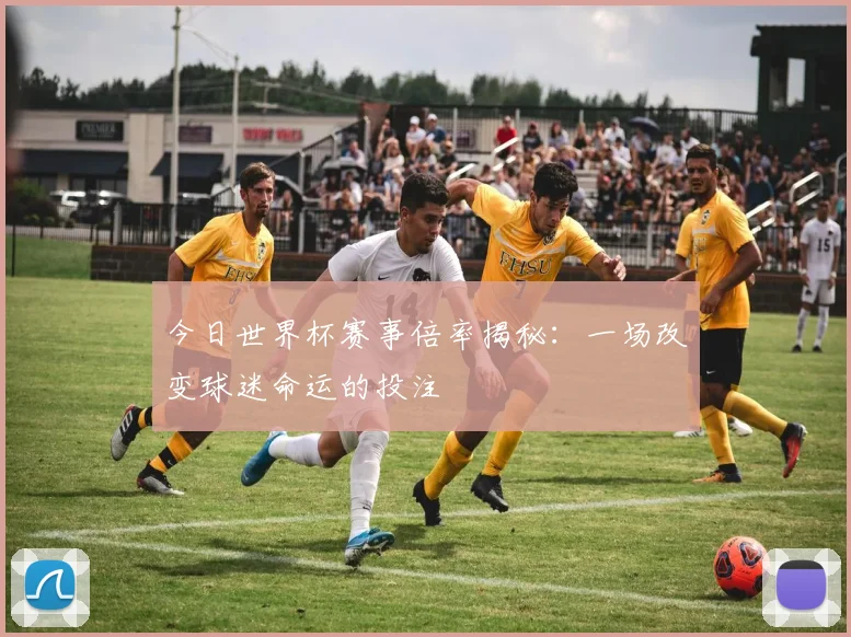 今日世界杯赛事倍率揭秘：一场改变球迷命运的投注